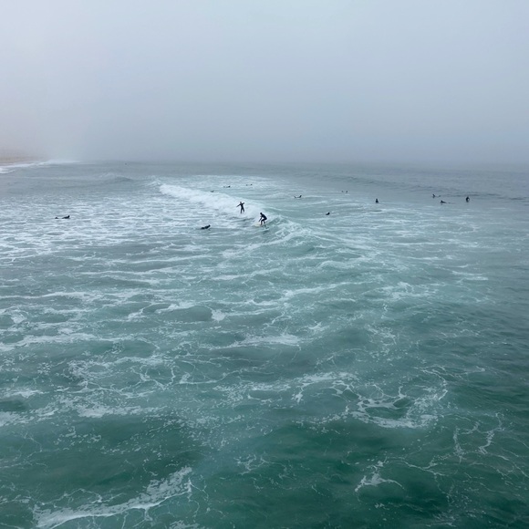 Meet your Posher, Ali - Picture 1 of 1